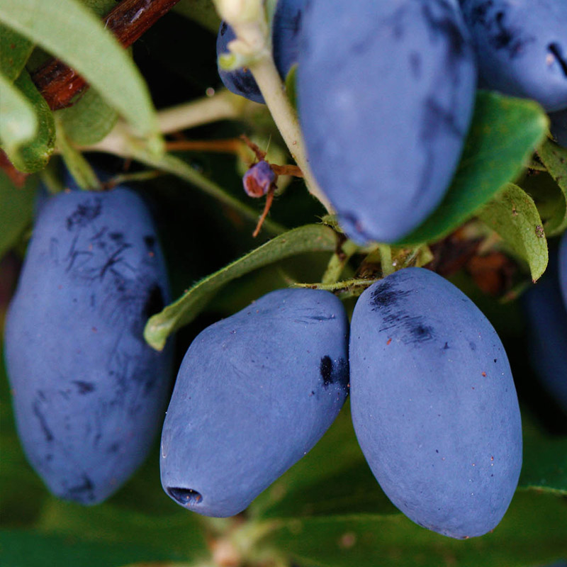 Рисунок 78.jpg