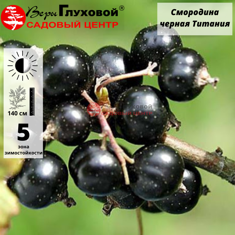 Основное изображение товара