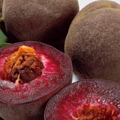 Основное изображение товара