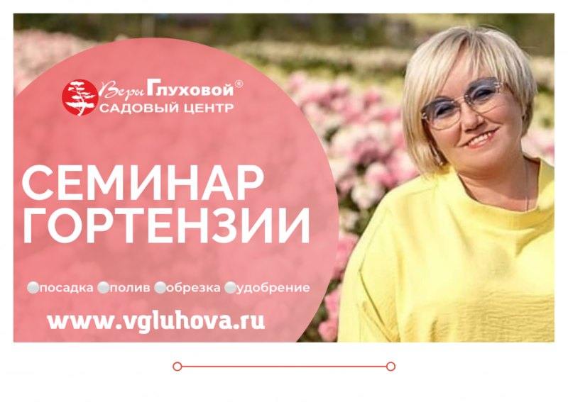 СЕМИНАР - ГОРТЕНЗИИ