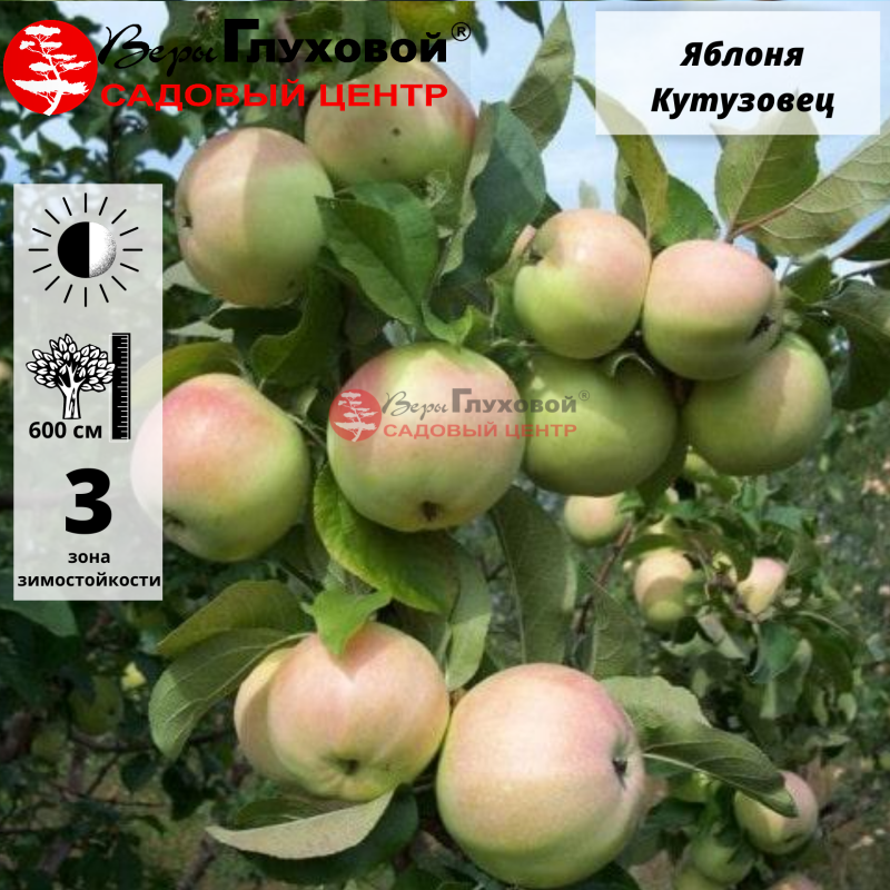 Рисунок 299.jpg