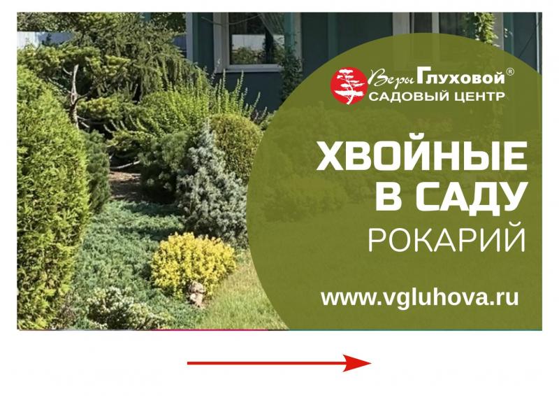 Дачные Советы новый выпуск от 08.09.22