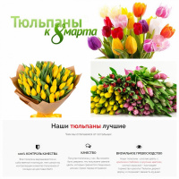 Тюльпаны для любимых женщин