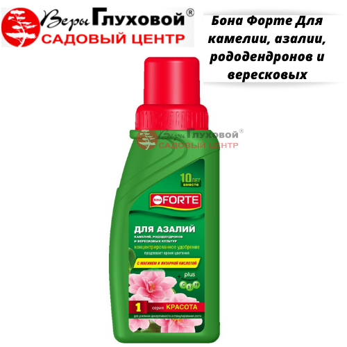 Основное изображение товара