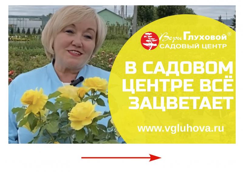 Дачные советы от 30.06.2022