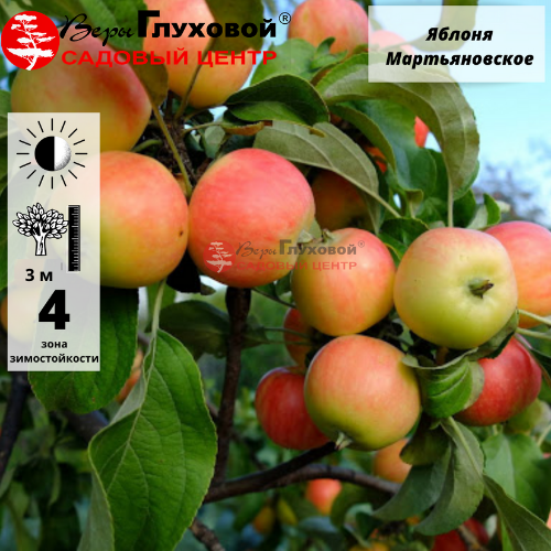 Основное изображение товара