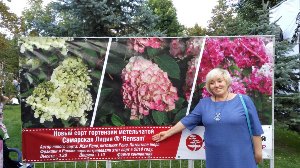 Презентация сорта Самарская Лидия в Струковском парке г. Самара 2018 год (2).jpg Презентация сорта Самарская Лидия в Струковском парке г. Самара 2018 год (2).jpg