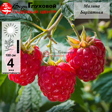 Рисунок 123.jpg