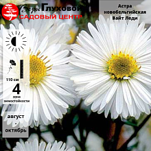 Основное изображение товара