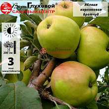 Рисунок 282.jpg