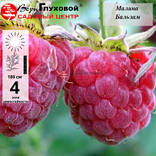 Основное изображение товара