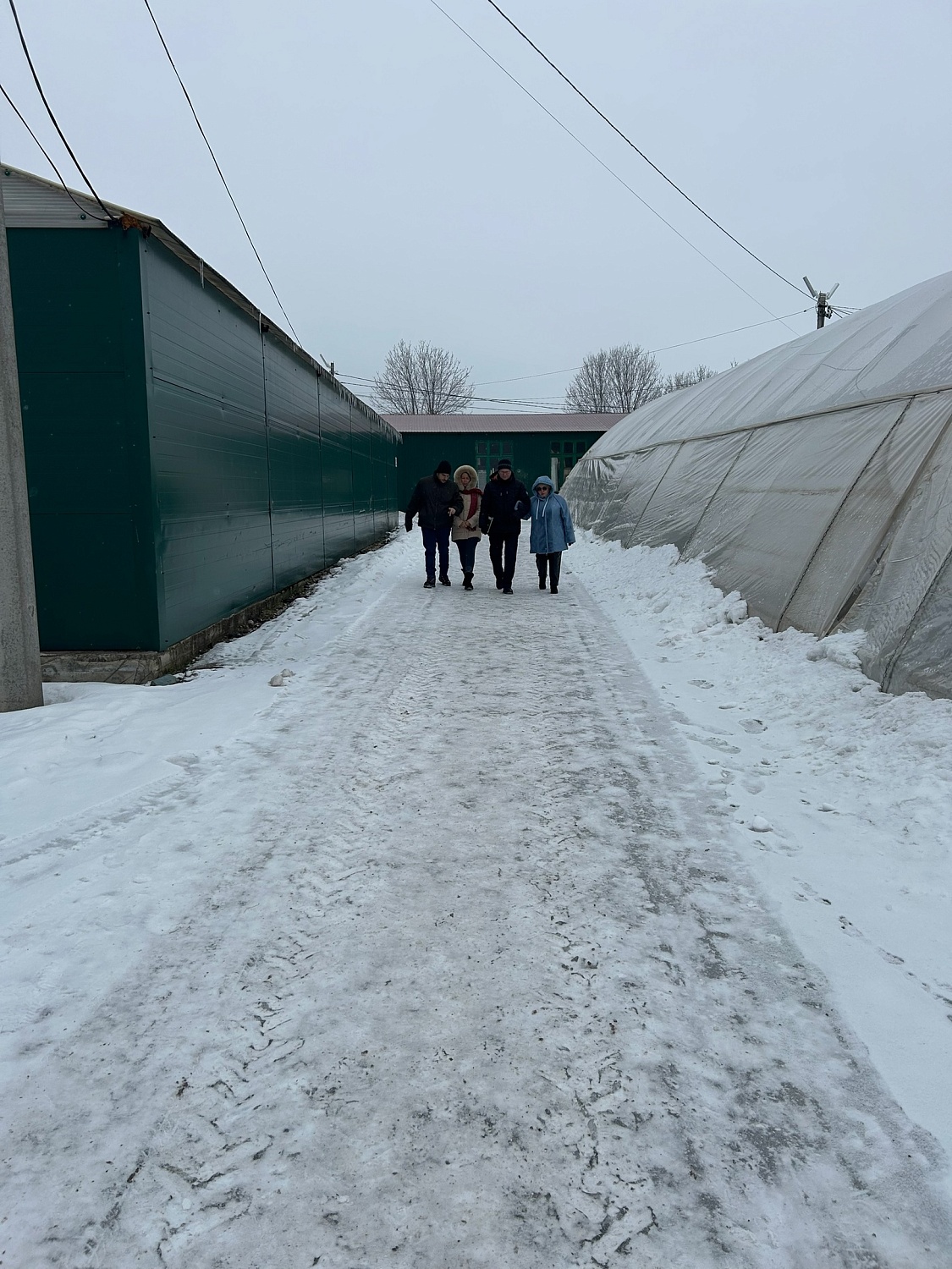 Международные эксперты в Питомнике и садовом центре Веры Глухово