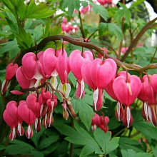 Основное изображение товара