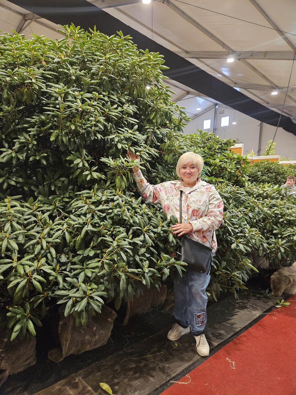 Выставка Groot Groen