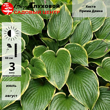 Основное изображение товара