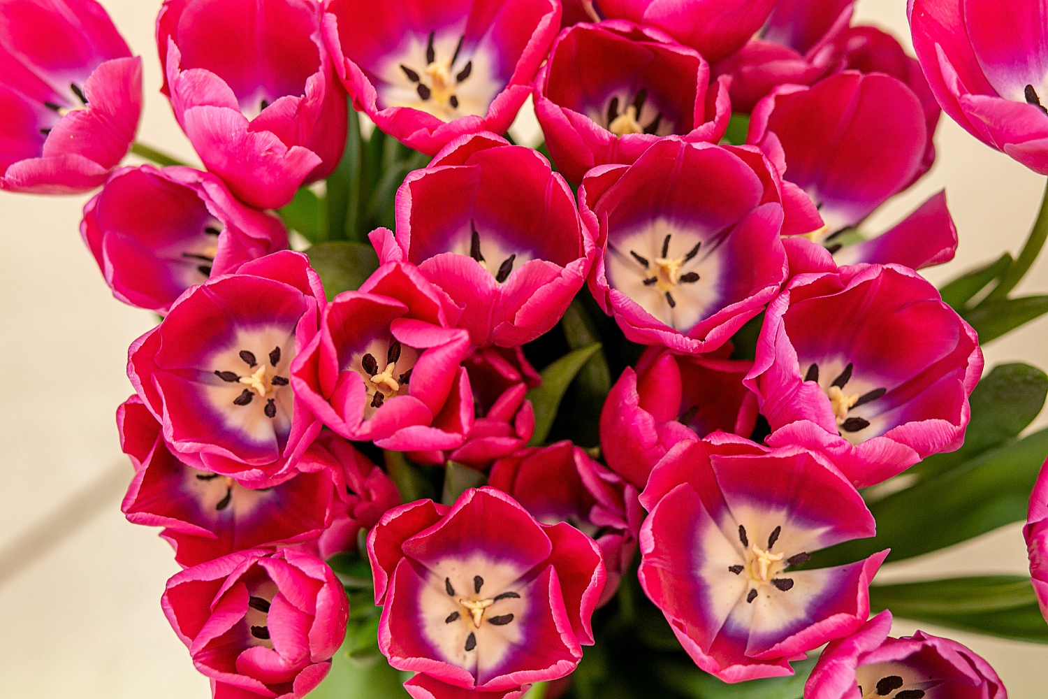 Пункт прием заказов весеннего настроения открыт!