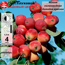 Основное изображение товара