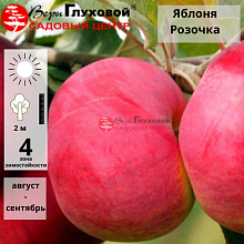 Основное изображение товара