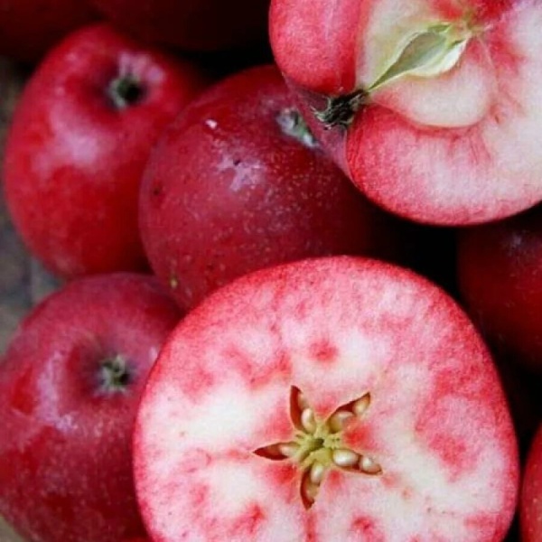 Основное изображение товара