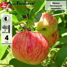 Рисунок 305.jpg