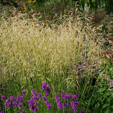 Основное изображение товара