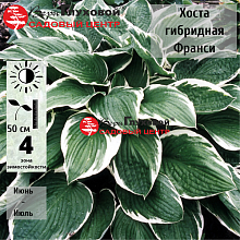 Основное изображение товара