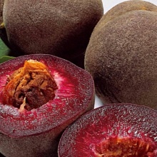 Основное изображение товара