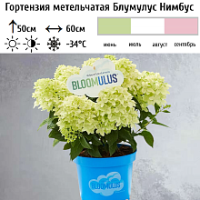 Основное изображение товара